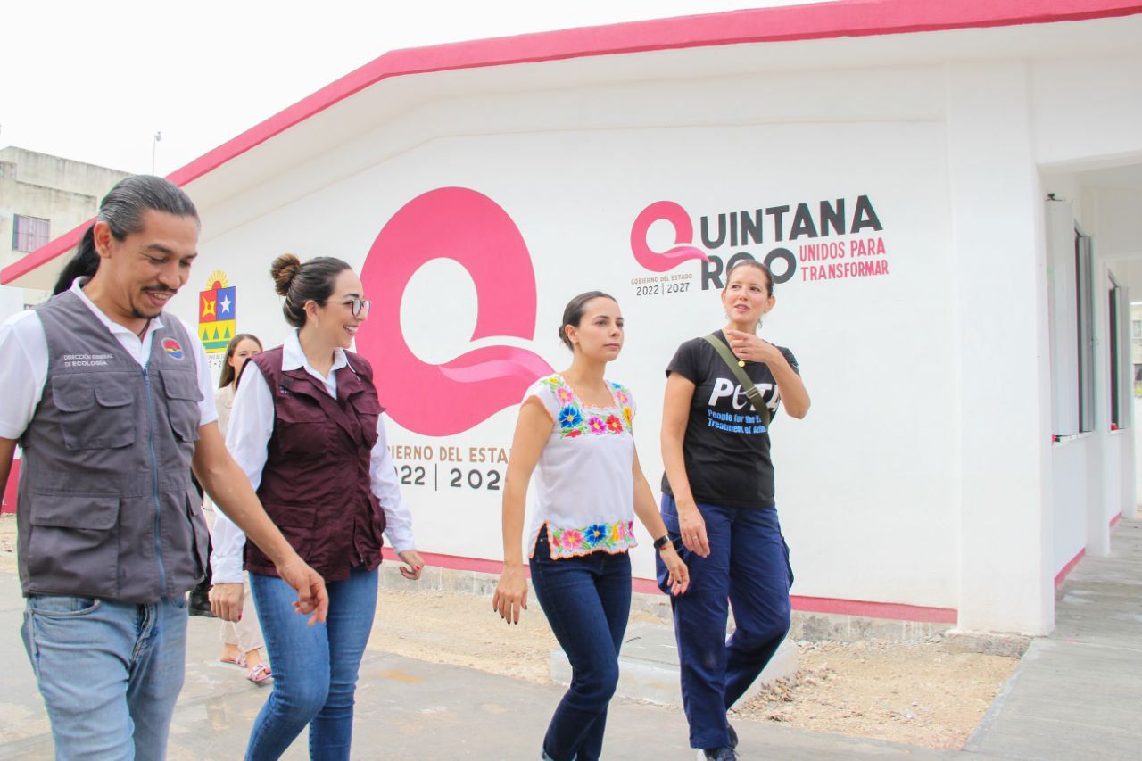 uploads/6/32/01 (428).Jpeg